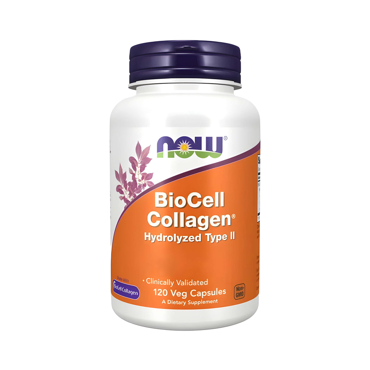 NOW Foods BioCell Collagen Typ 2 NahrungsergĂ€nzungsmittel mit Kollagenpeptiden, Chondroitin Sulfat und HyaluronsĂ€ure, praktische Kollagen Kapseln fĂŒr Erwachsene zur tĂ€glichen Einnahme und UnterstĂŒtzung einer ausgewogenen ErnĂ€hrung