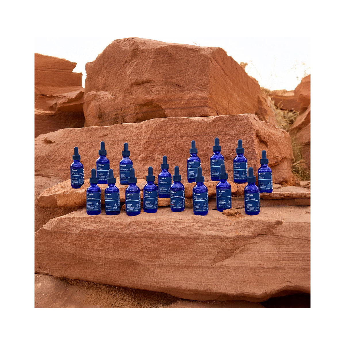 Trace Minerals Ionic Iodine – flüssiges Jod 225 mcg mit ConcenTrace – 59 ml