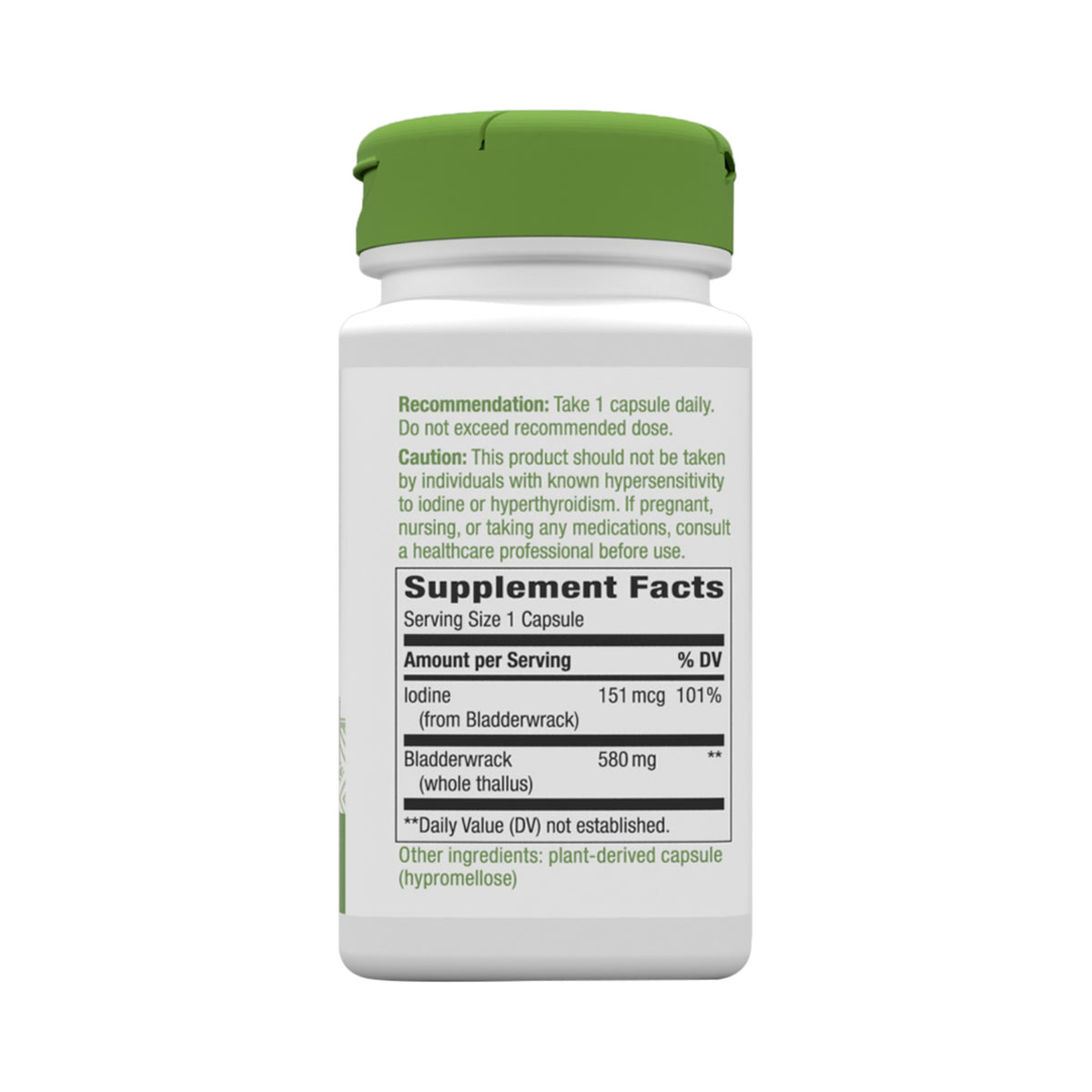 Nature's Way Bladderwrack 580 mg – Blasentang-Kapseln mit Jod – 100 Kapseln