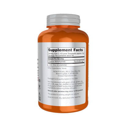 Creatine Monohydrate Powder NOW Foods kaufen – 100 % reines Kreatin Monohydrat Pulver für Sport, Training & Muskelkraft