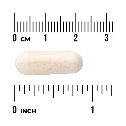 Swanson Epic Pro 25-Stämme Probiotikum – 31 Mrd. KBE pro Kapsel mit FOS – 30 vegane Kapseln