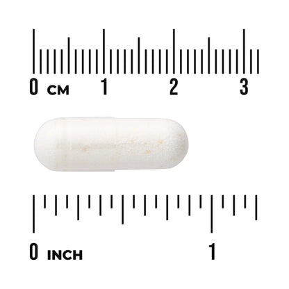 Swanson Lactobacillus Acidophilus – 2 Mrd. KBE pro Tagesdosis – 100 / 250 Kapseln
