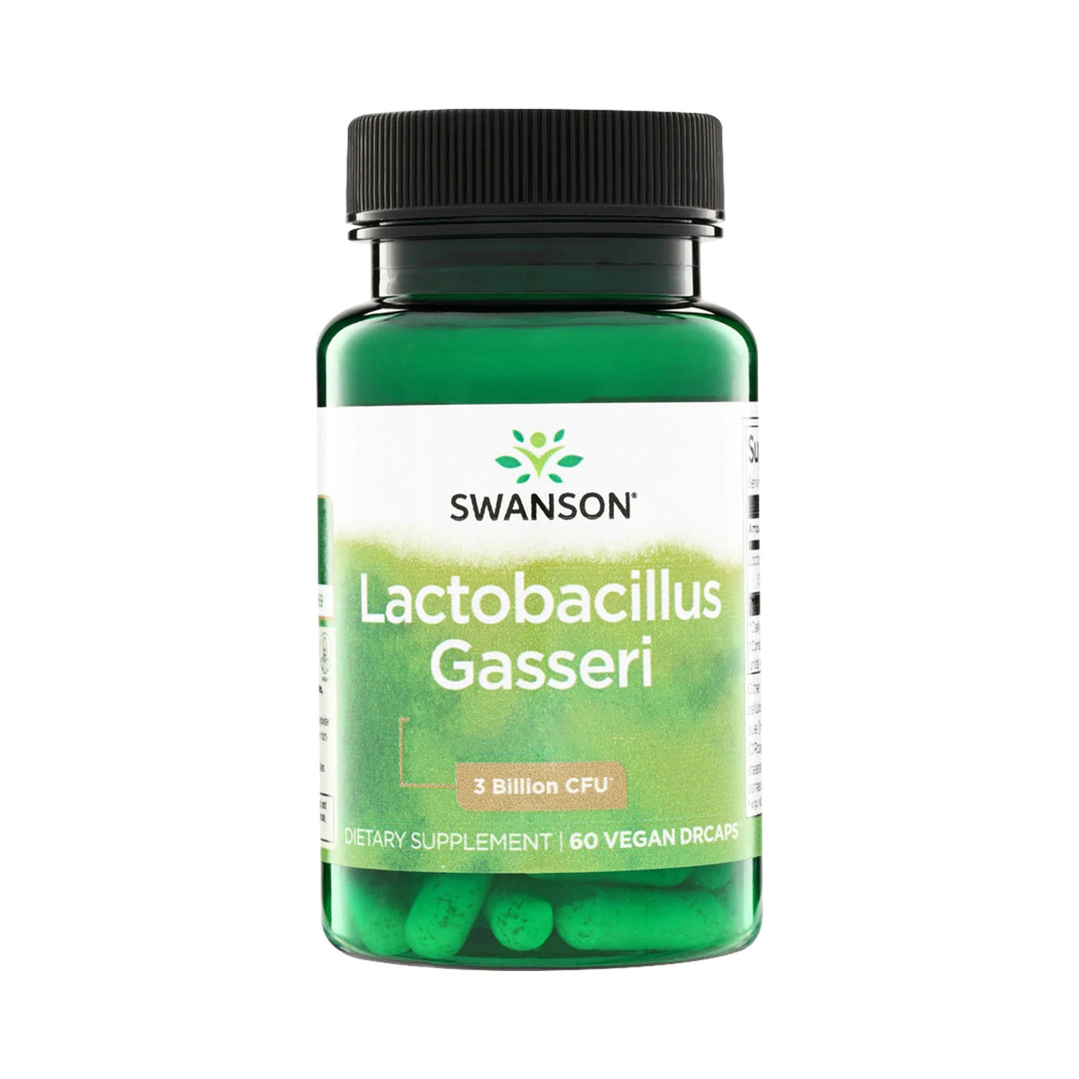 Swanson Lactobacillus Gasseri – 3 Mrd. KBE pro Kapsel, DRcaps vegan – 60 Kapseln