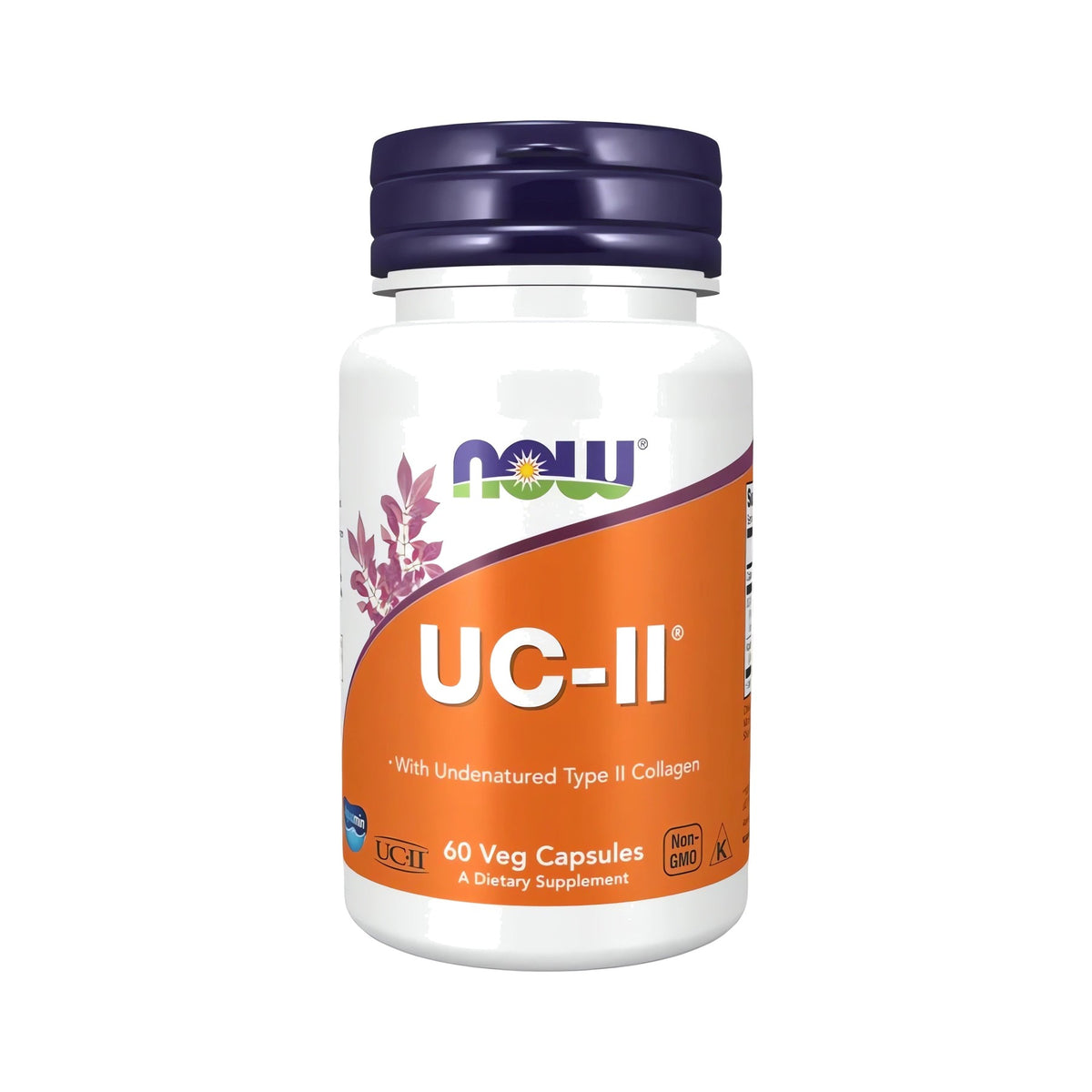UC-II Type II Collagen Capsules – Premium Typ II Kollagen Kapseln mit Aquamin - NOW Foods